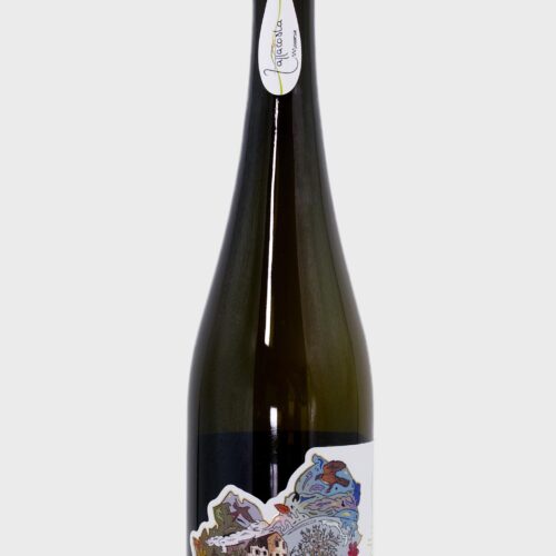 Oliwa z oliwek Extra Virgin Olio Zappacosta Cantigallo 750ml-Odkrycie z Molise-Tłoczenie 2025/26