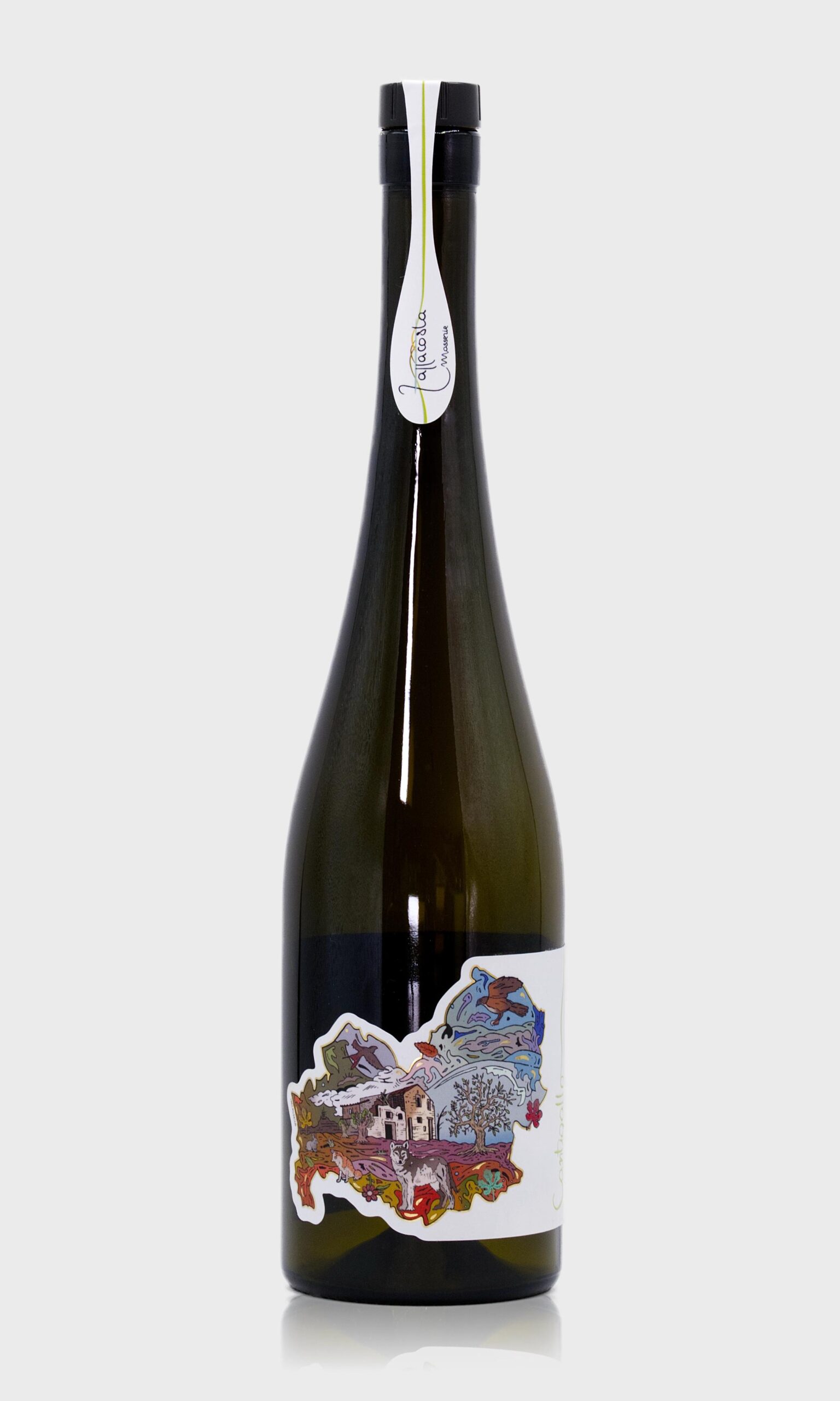 Oliwa z oliwek Extra Virgin Olio Zappacosta Cantigallo 750ml-Odkrycie z Molise-Tłoczenie 2025/26