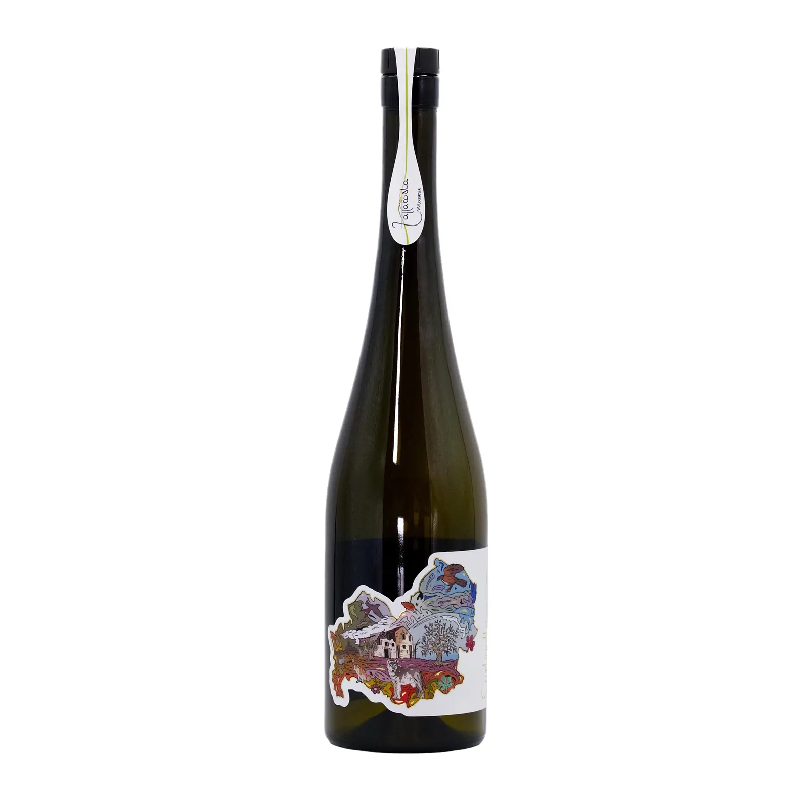 Oliwa z oliwek Extra Virgin Olio Zappacosta Cantigallo 750ml-Odkrycie z Molise-Tłoczenie 2025/26